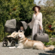 Mountain Buggy luxury collection